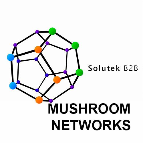 mantenimiento correctivo de routers Mushroom Networks